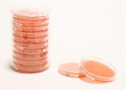 ReadyPlate(TM) Mannitol Egg Yolk Polymyxin Agar for determination of Bacillus cereus in Food sample in accordance to ISO 7932 and ISO 21871, pkg of (90 mm plate (20 or per box))