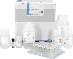 Isolation of viral RNA and DNA