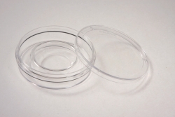 IVF center well dish