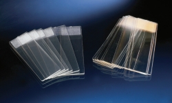 Microscope Slides, TC, sterile