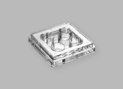 Placas de cultivo celular, no tratadas, PS, estériles