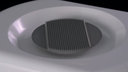 Freeze plates for controlled rate freezer CRFT