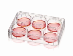 Multidishes Nunc&trade;, PS, con superficie Nunclon&trade; Supra.