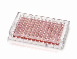 Cell culture plates Nunc&trade;, PS, with Nunclon&trade; Supra surface