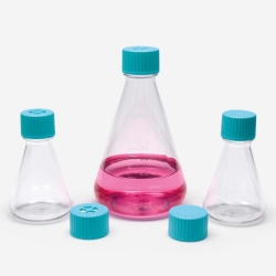 Erlenmeyer flask 250 ml PET, with plug cap pack of 12