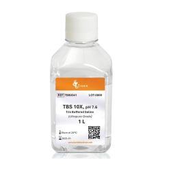 Tris Buffer Saline (TBS) pH 7.6 (10 x)