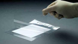 [EN]: Reaction Folders 203 x 254 mm pack of 50