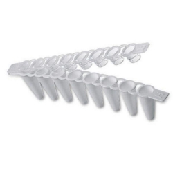 [EN]: Masterclear Cap Strips and real-time PCR Tube Stripes, pack of each 10x12