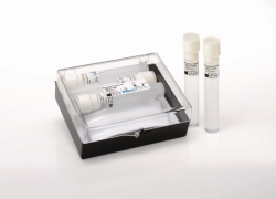 Est&aacute;ndares McFarland