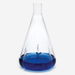 [EN]: Erlenmeyer - culture flask 100 ml straight neck