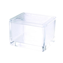 Box and lid for 20 slides, clear soda-lime glass type III pack of 3
