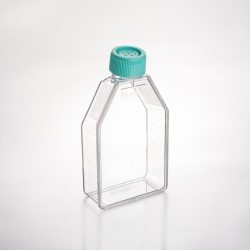 [EN]: Tissue Culture Flasks 250 mL sterile, with vent cap, pack of 100