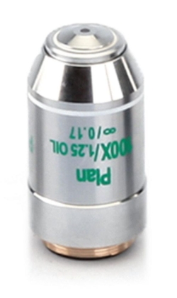 [EN]: PH lens Infinity Plan 100 x / 1.25 Oil, Anti-Fungus