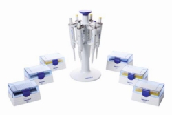 Reference&reg; 2, paquete de 6, con epT.I.P.S. y carrusel de pipetas: 0,1-2,5 &mu;l, 0,5-10 &mu;l, 2-20 &mu;l (amarillo) 10-100 &mu;l, 20-200 &mu;