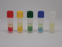 Cryopreservation beads