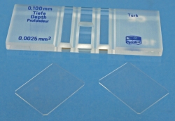 Counting Chambers according to T&uuml;rk