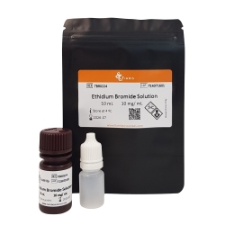 Ethidium bromide solution (1%)