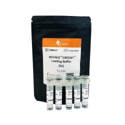 Intense Greeny Loading Buffer (6x)