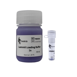 Laemmli Loading Buffer (2x)