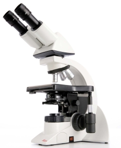 DM1000 LED Microscopio ergonómico único