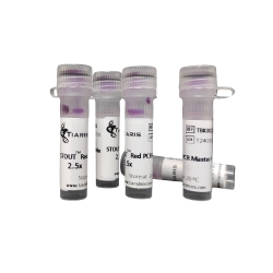 STOUT&trade; RED PCR Master Mix (2.5 X)