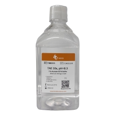 Tris-Acetate-EDTA Buffer (TAE), pH 8.3 (10 x)