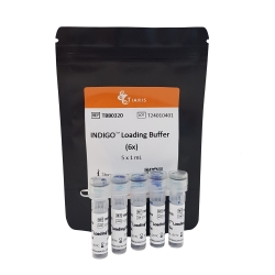 Indigo Loading Buffer (6x)
