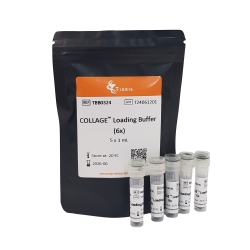 Collage  Loading Buffer (6x)