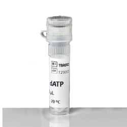 High-Q&trade; dATP Solution, 100mM