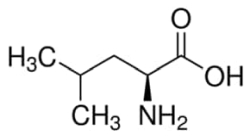 L-Leucine United States Pharmacopeia (USP) Reference Standard