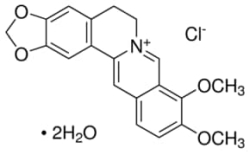 Berberine chloride hydrate technical, >=90% (AT)
