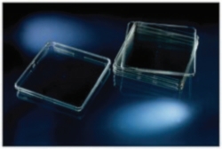 Placa de test biol&oacute;gico