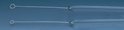 Inoculation loops, platinum-iridium, fused into glass rod
