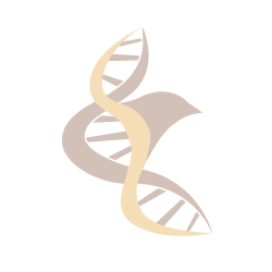 L0NG  DNA polymerase-Master Mix (2 X)